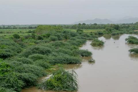 Flood in India Stock Photos