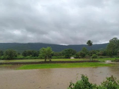 Flood, land submerged under rain water during monsoon, western india, Stock Photos
