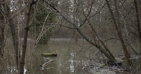Flood in the moor 動画素材 147752173