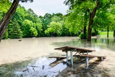 Flood in park Stock Photos
