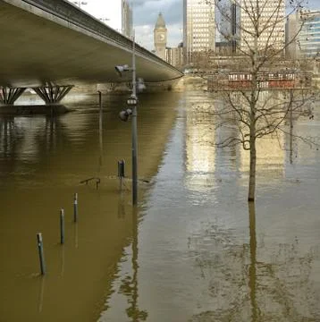 Flood Stock Photos