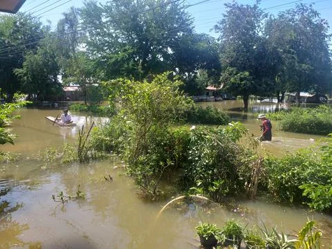 Flood Stock Photos