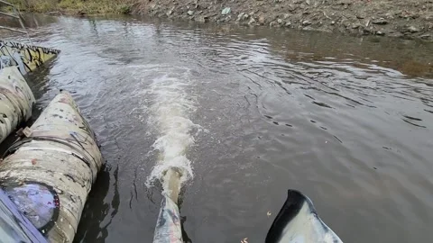 Flood prevention, Pump Draining Storm Water Video stock 295451620