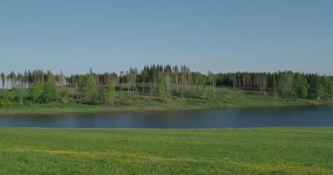 Flood protection basin Kalte Bode between village Königshütte and Elend HARZ GER Stock Footage 275142189