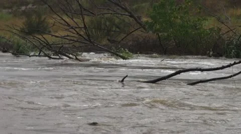 Flood- Queanbeyan River NSW Stock Footage 11022859
