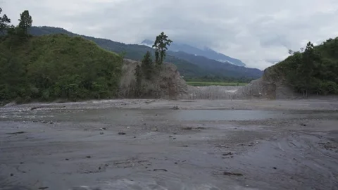 Flood ravaged riverbed with a lone tree standing amid mud and rubble Видео 345606349
