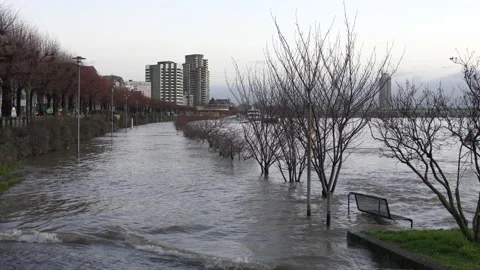 Flood on Rhine river, Cologne, Germany Stock Footage 150683655