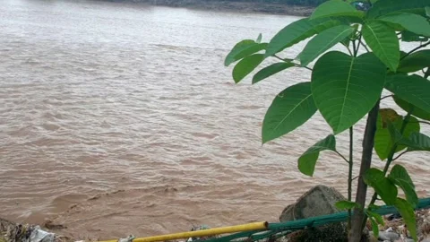 Flood in the river due to heavy rainfall Stock-Footage 316143171