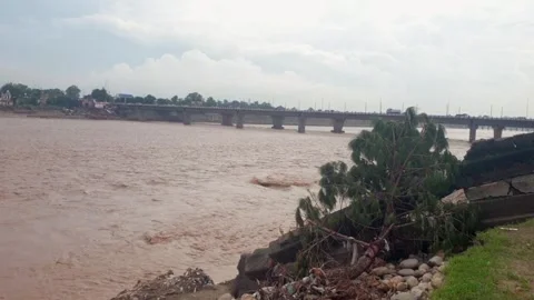 Flood in the river due to heavy rainfall Stock-Footage 316143542