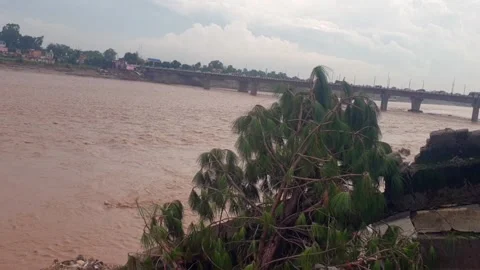 Flood in the river due to heavy rainfall Stock-Footage 316143642