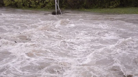 Flood on the river. Floats branch. Stage Stock Footage 40676545