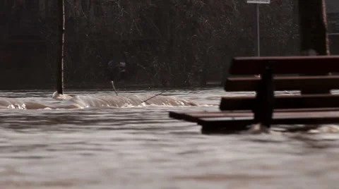 Flood on the river Stock Footage 1020004