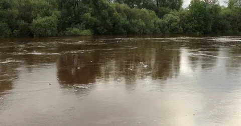 Flood on the river Stock Footage 80158722