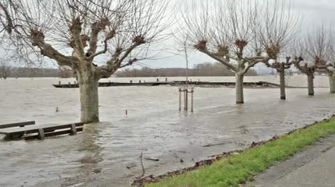 Flood at River Rhine, Germany 動画素材 16424454