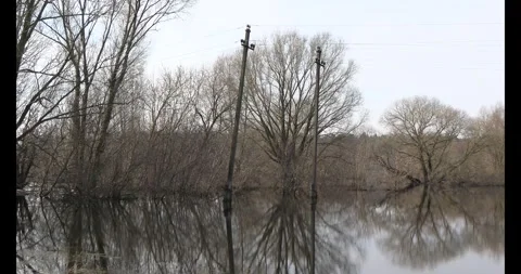 The flood of the river in the spring. Stock Footage 269712810