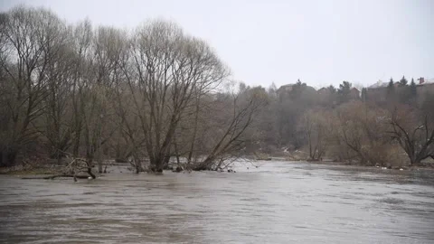 Flood of river in the spring Stock Footage 315790659