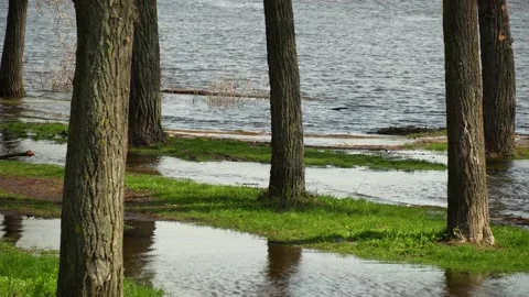 Flood river in spring time. Overflowed river bank in city. 스톡 동영상 239370484