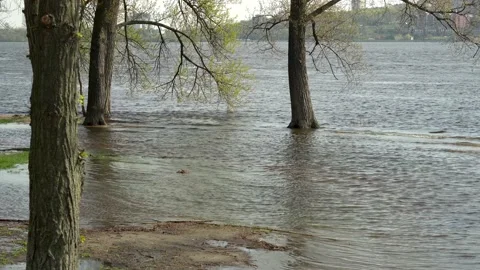 Flood river in spring time. Overflowed river bank in city. 스톡 동영상 239370621