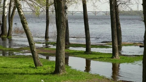 Flood river in spring time. Overflowed river bank in city. 스톡 동영상 239370624