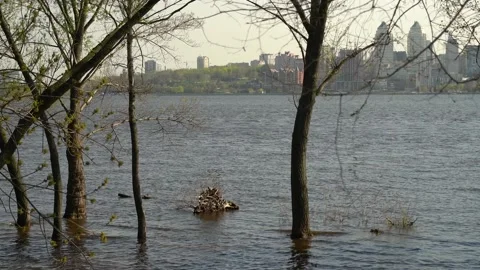 Flood river in spring time. Overflowed river bank in city. Video stock 239371112