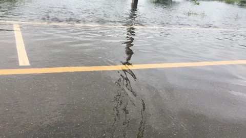 Flood road Stock-Footage 90955048