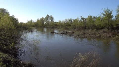 Flood on small river. Flooded trees. 4K stock video footage Video stock 103944947