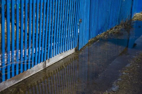 Flood in springtime 库存照片