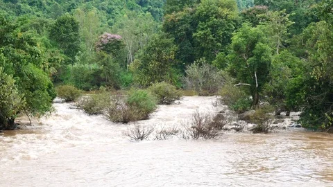 Flood in Thailand Stock Footage 78715793