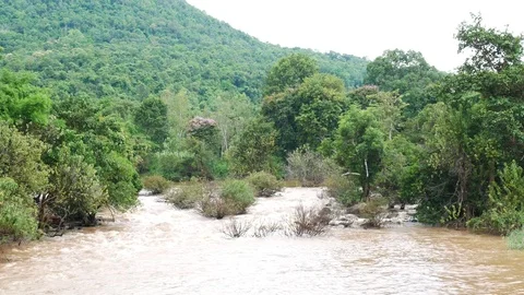 Flood in Thailand Stock Footage 78715833