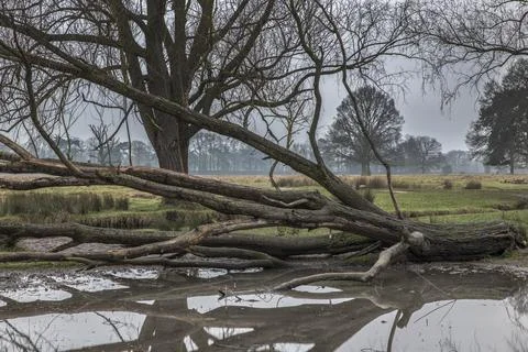 Flood warning Fotos Stock