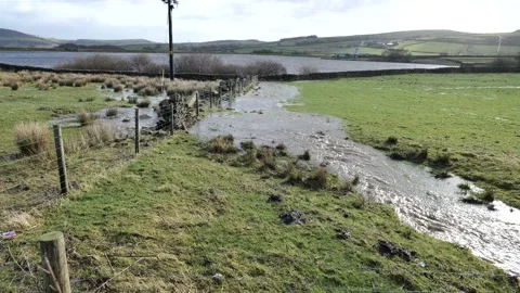 Flood water in field Stock Footage 170709128