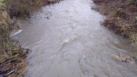 Flood water moving through a creek in the woods Stock Footage 121909448