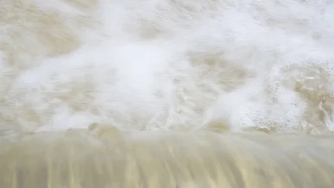 Flood water in nature Stock Footage 77702818