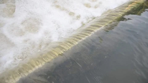 Flood water in nature Stock Footage 77703017