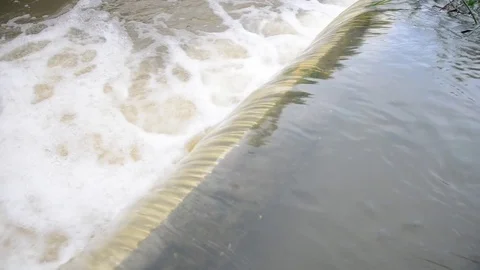 Flood water in nature Stock Footage 77703176