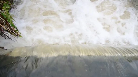 Flood water in nature Stock Footage 77703197