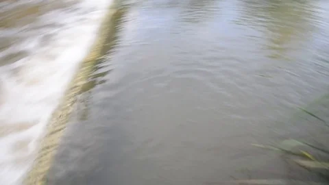 Flood water in nature Stock Footage 77703232