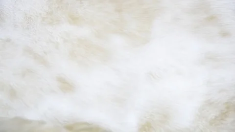 Flood water in nature Stock Footage 77703284