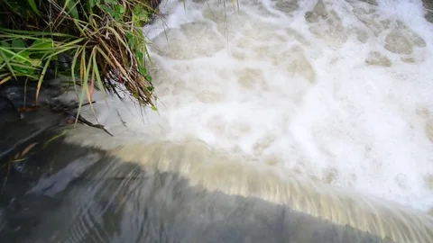Flood water in nature Stock Footage 77703440
