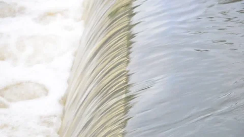 Flood water in nature Stock Footage 77703474