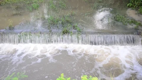 Flood water in nature Stock Footage 77703492
