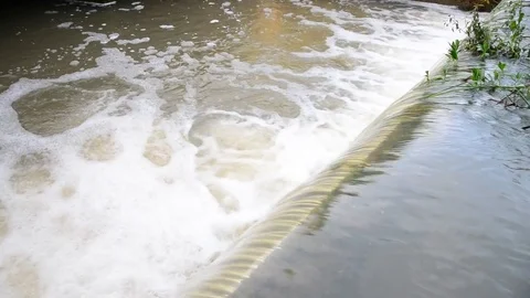 Flood water in nature Stock Footage 77703543