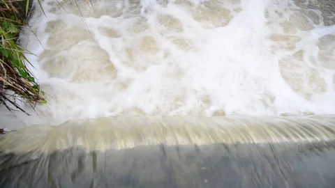 Flood water in nature Stock Footage 77703561