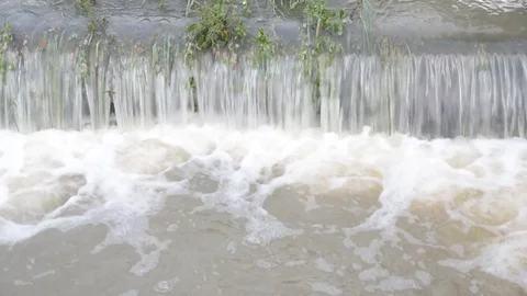 Flood water in nature Stock Footage 77703634