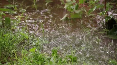 Flood Waterfall Stock Footage 11865916