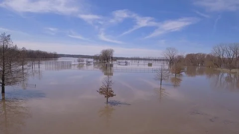 Flood waters and trees Stock Footage 105421560