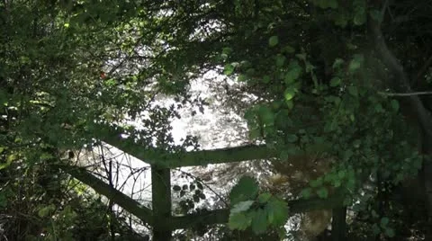 Flood waters of stream through trees and fence in sunshine Stock-Footage 12603160