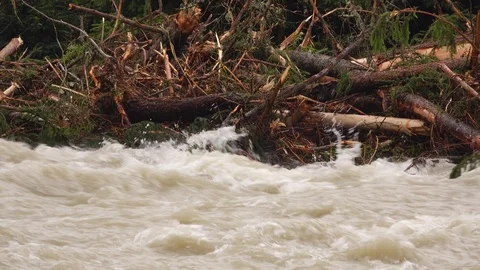 Flood on the wild mountain stream. Stock Footage 123296345