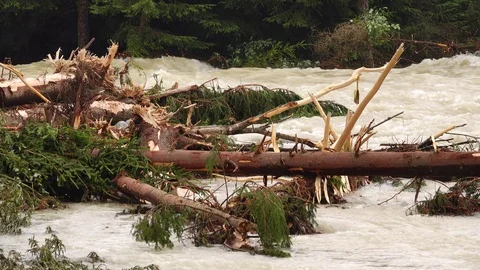 Flood on the wild mountain stream. Stock Footage 123296476