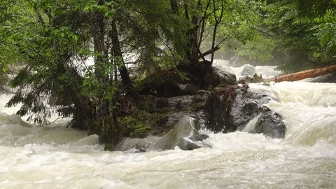 Flood on the wild mountain stream. Stock Footage 123296962
